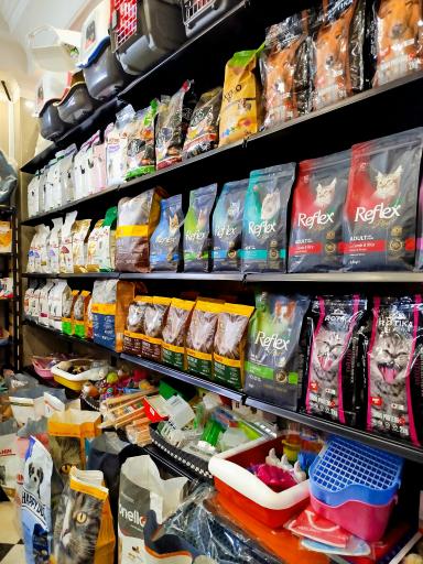 عکس پت شاپ راون