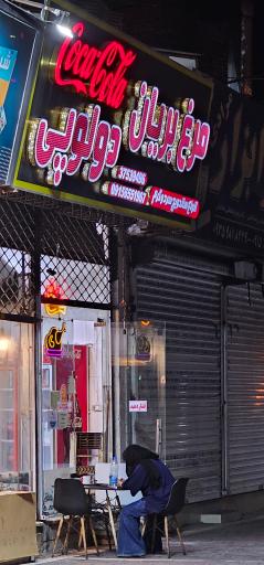 عکس مرغ بریونی دولوپی