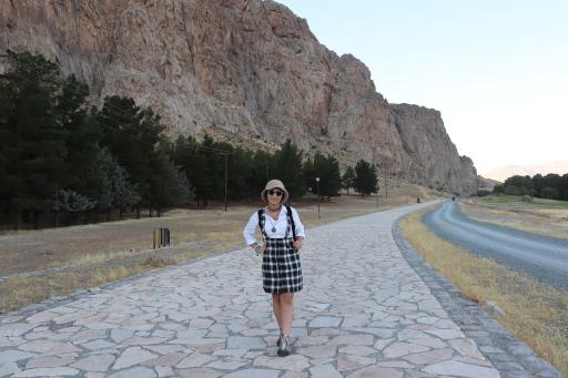 عکس سنگ نوشته بیستون