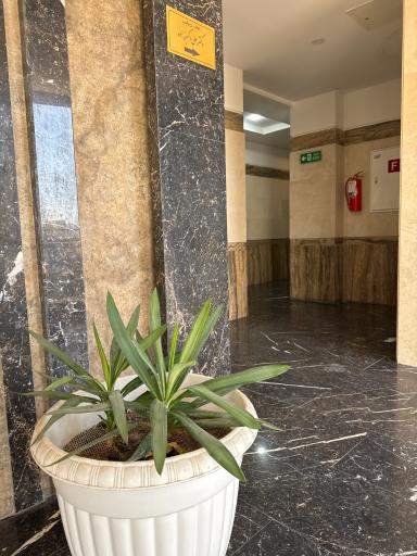 عکس مطب زیبایی دکتر علی اکبرزاده