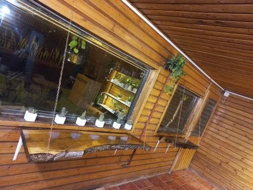 عکس کافه گل بهشت گمشده