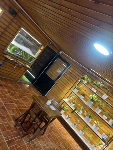 عکس کافه گل بهشت گمشده