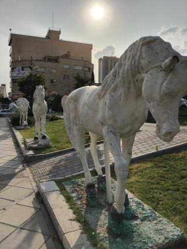 عکس بوستان صدف