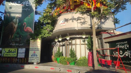 عکس پمپ بنزین میدان جمهوری