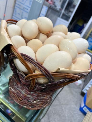 عکس لبنیات محلی روستا