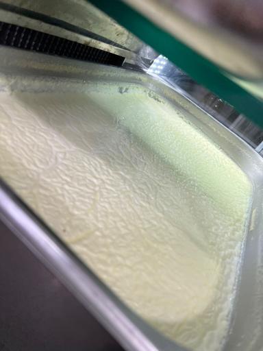 عکس لبنیات محلی روستا