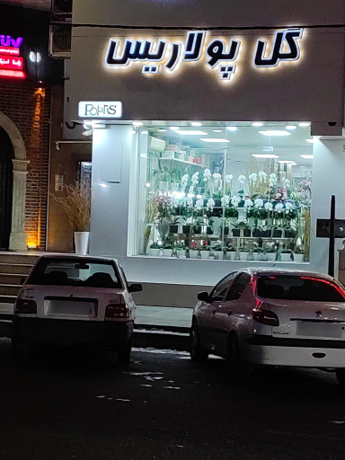 عکس گل پولاریس