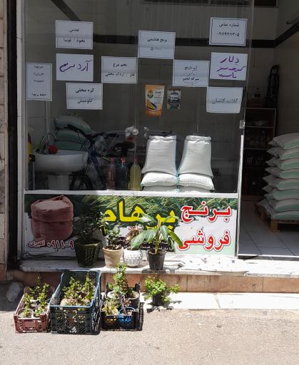 عکس برنج فروشی پرهام