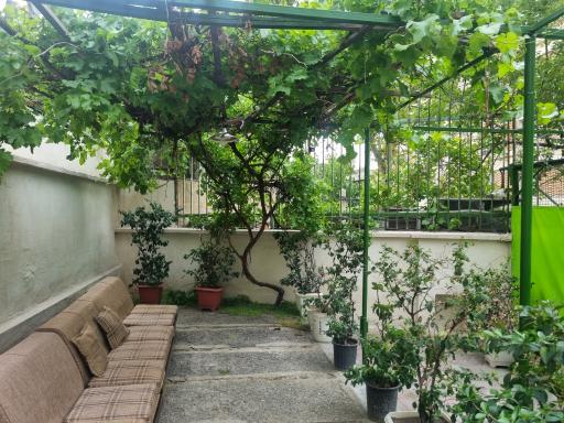 عکس کمپیتال دروس 