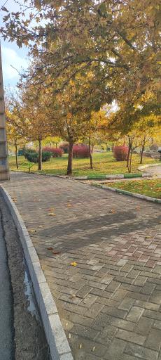 بوستان ولیعصر