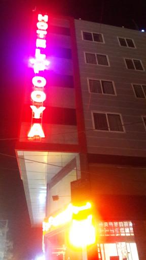 عکس هتل پویا