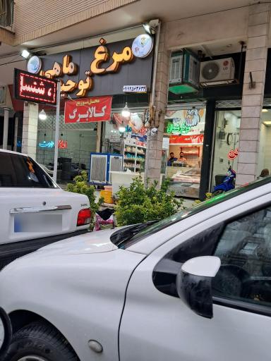 عکس مرغ وماهی توحید