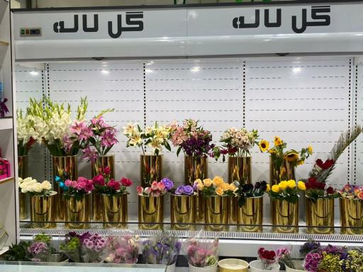 عکس گل فروشی لاله