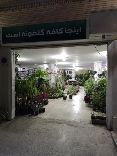 عکس کافه گلخونه