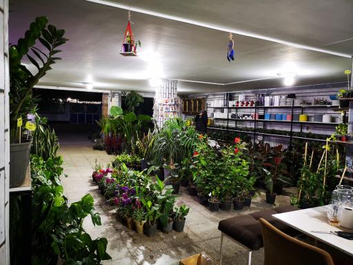 عکس کافه گلخونه