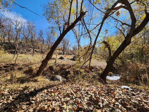 عکس پارک کمربسته