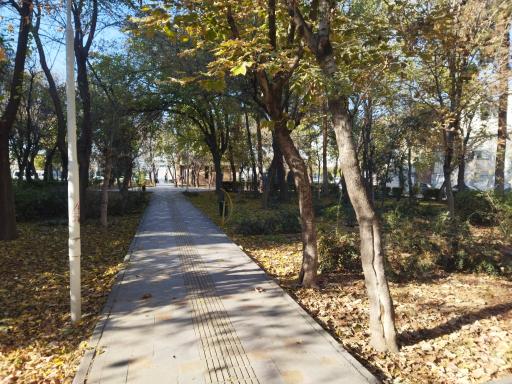 عکس بوستان آذرگل