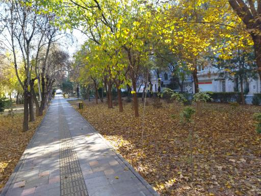 عکس بوستان آذرگل