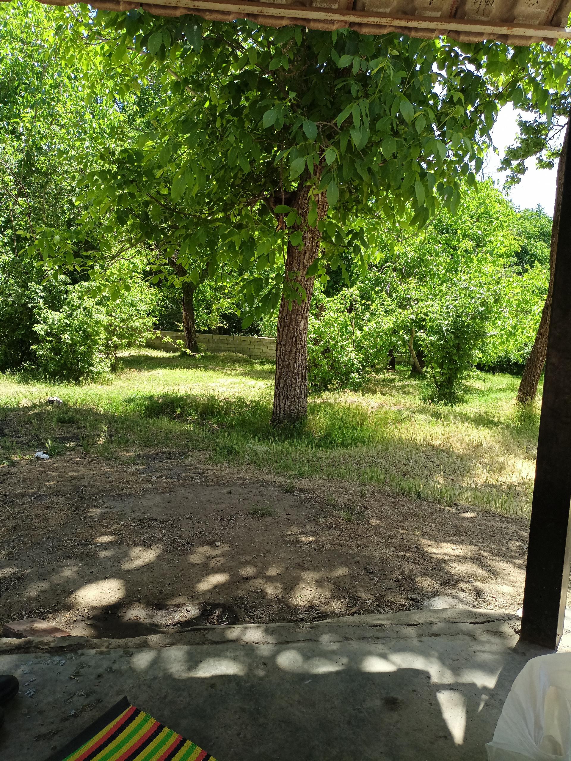 عکس پارک کمربسته