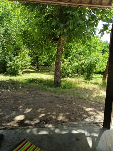 عکس پارک کمربسته