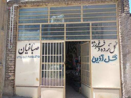 عکس فرفورژه گل آذین