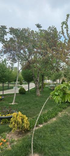 عکس زمین بازی پارک کارخانه نوآوری