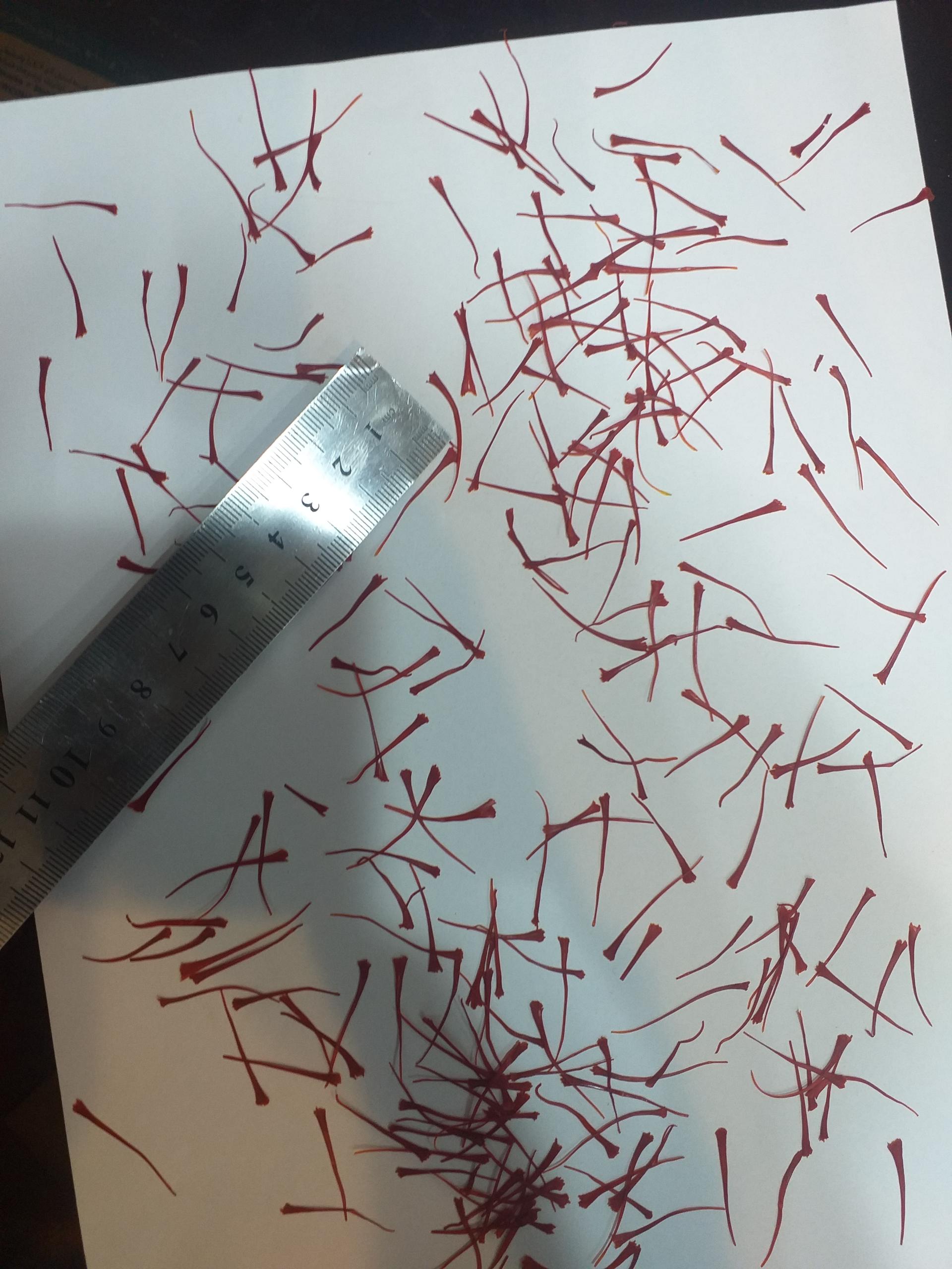 عکس مرکز خرید و فروش زعفران آراسته