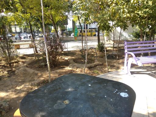 عکس بوستان امام علی (ع)