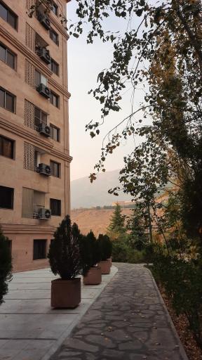 عکس برج ارکیده