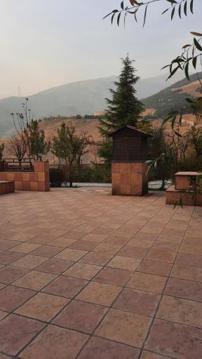 عکس برج ارکیده