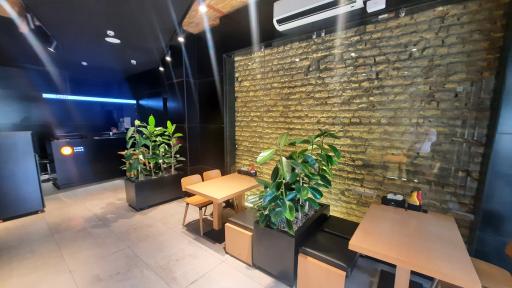 عکس فست فود شیلا