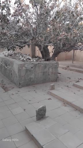 عکس مزار حضرت سلطان