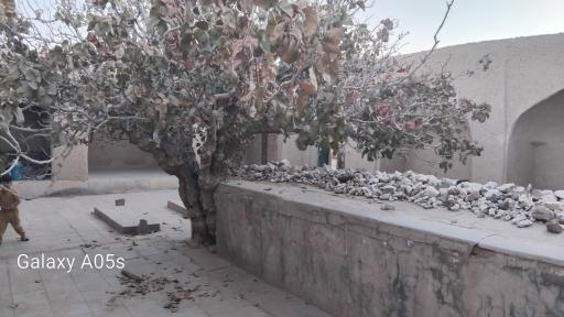 عکس مزار حضرت سلطان