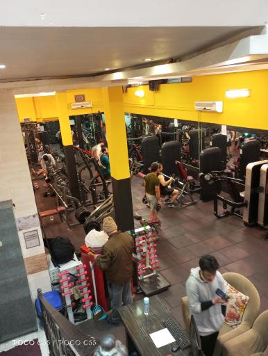 عکس پرورش اندام اسطوره 