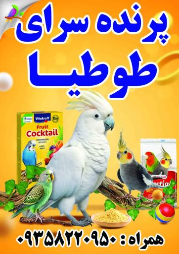 عکس پرنده سرای طوطیا 