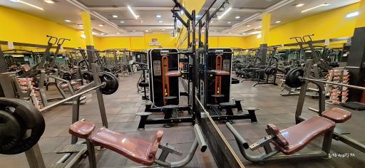 عکس پرورش اندام اسطوره 