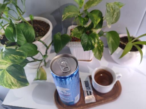 عکس کافه شادمهر