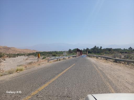 عکس مردهک