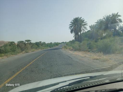 عکس مردهک