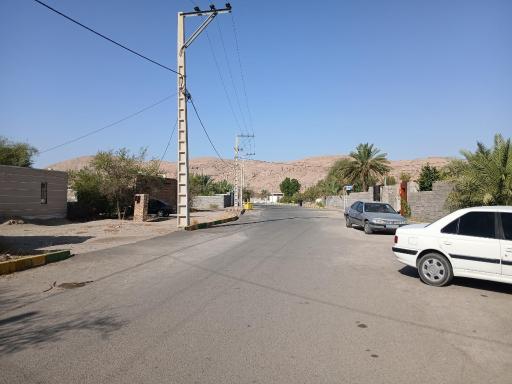 عکس مردهک
