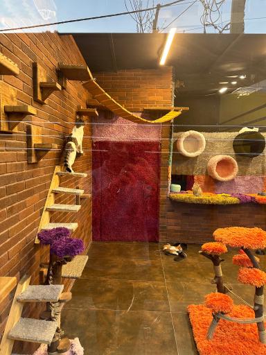 عکس بیمارستان دامپزشکی پژدر