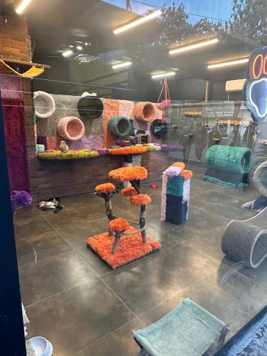 عکس بیمارستان دامپزشکی پژدر