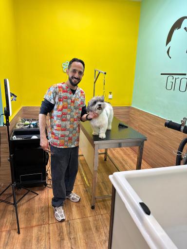 عکس بیمارستان دامپزشکی پژدر