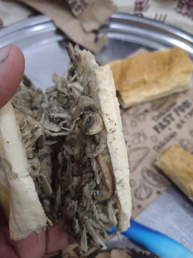 عکس فست فود ربوفود