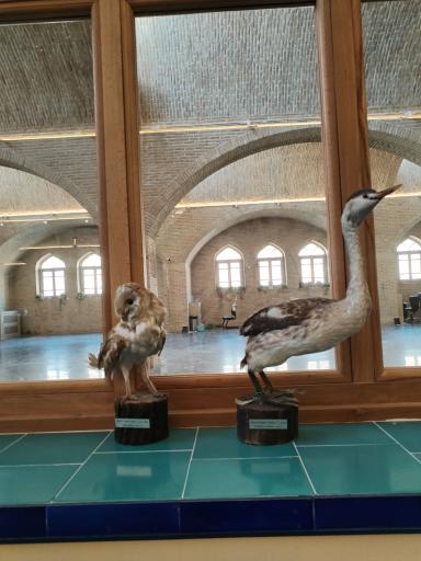 عکس موزه آیینه و روشنایی یزد