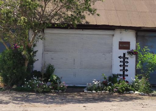 آموزشگاه زبان کودکان الینگو