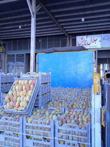 عکس بازرگانی جلال پریش