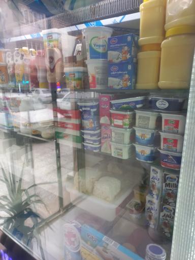 عکس لبنیات فجر