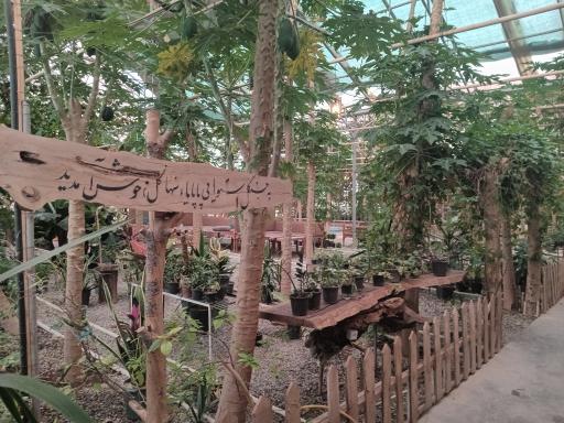 عکس کافه سهاگل