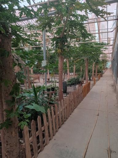 عکس کافه سهاگل